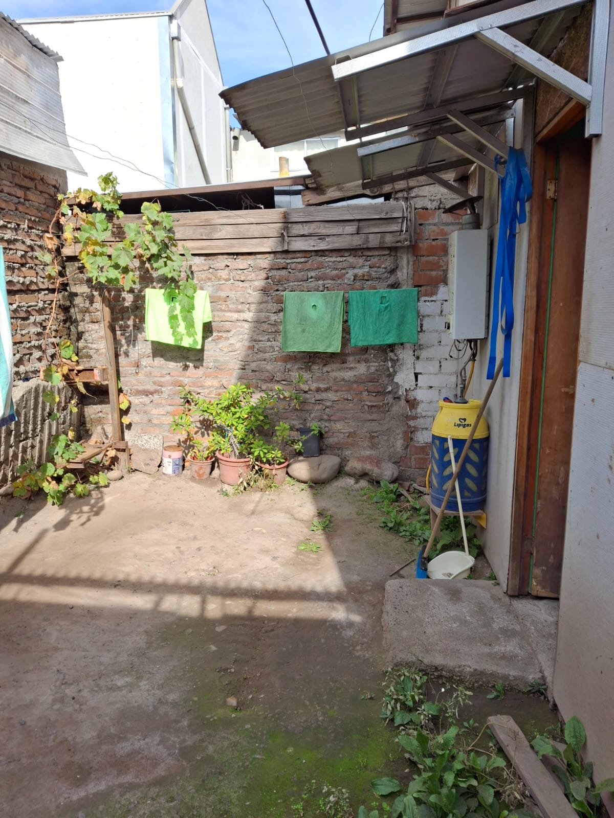 Casa comuna del bosque - Imagen 17
