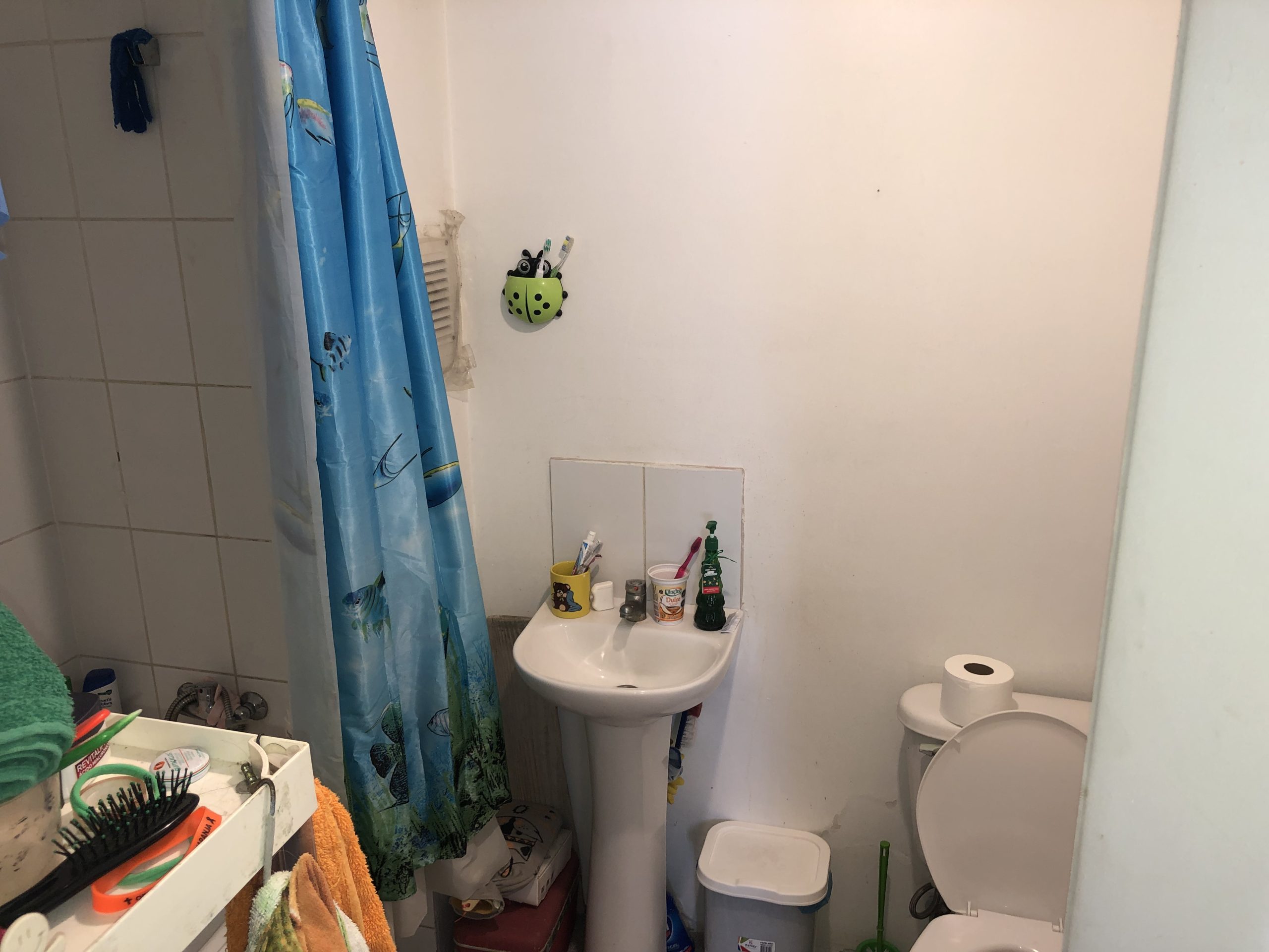 Departamento en la comuna del bosque - Imagen 12